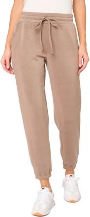 Gibsonlook Easy Everywhere Joggers in Dark Taupe at Nordstrom, Size Xx-Small