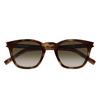 Saint Laurent Sunglasses Sl 28 048 Brown/Brown Unisex