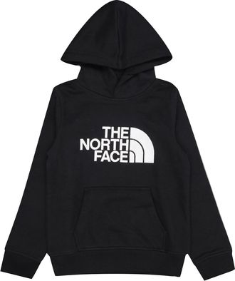 The North Face Die Nordgesichtspullover schwarz