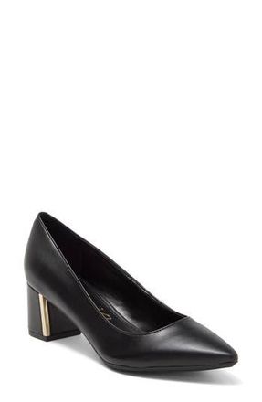 Calvin Klein Natalia Pointed Toe Flat in Black at Nordstrom Rack, Size 5