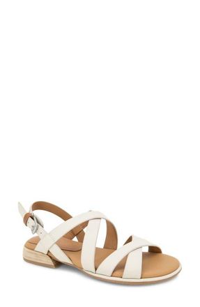 Gentle Souls Helen Slingback Sandal in Stone at Nordstrom, Size 5