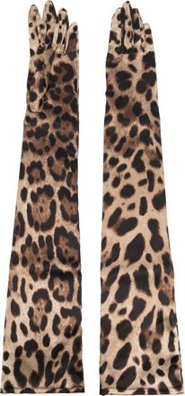 Dolce & Gabbana leopard-print long gloves - women - Spandex/Elastane/Silk - L - Brown
