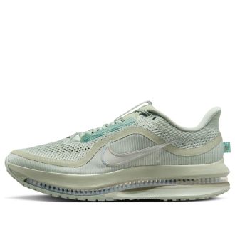 Nike Pegasus Premium Jade Horizon HQ2592-300