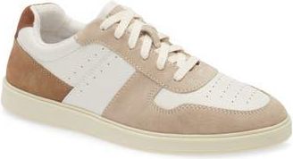 Steve Madden Herro Low Top Sneaker in White/Tan at Nordstrom Rack, Size 10.5