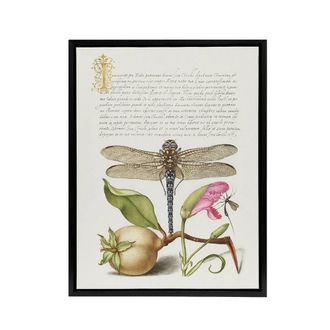 Artery8 Dragonfly Pear & Carnation Calligraphy Framed Canvas Wall Art Print in White | Size: W24 x H32