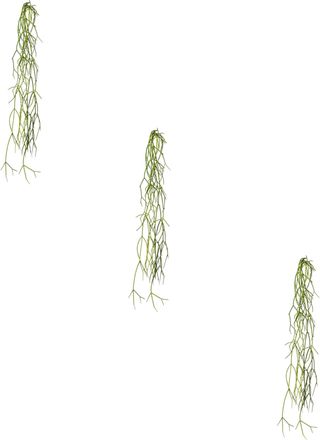 Creativ Green Kunstranke »Rhipsalis-Hänger«