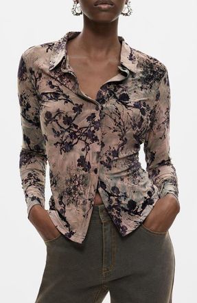 Desigual Print Stretch Button-Up Shirt in Gray Brown at Nordstrom, Size X-Large