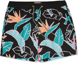 Party Pants Sweet Leaf Party Starter 5-Inch Swim Trunks in Black at Nordstrom, Size Xx-Large