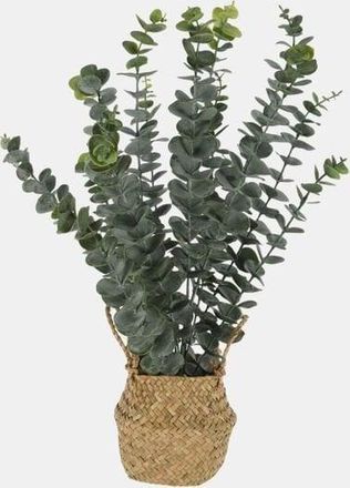 Progarden Planta Artificial De Eucalipto De 50 Cm Con Elegante Cesta De Rat&aacute;n