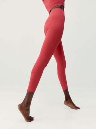 Born Living Yoga Legging Blume Crisantemo