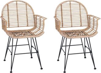 vidaXL Silla De Comedor 2 Pcs Natural 44 X 44 X 74 Cm Ratan E Hierro Vidaxl