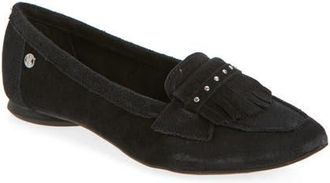 Bottero Botjoya Pointed Toe Flat in Preto at Nordstrom, Size 10