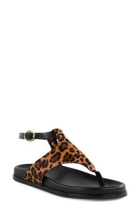 Seychelles In the Zone Ankle Strap Platform Sandal in Leopard at Nordstrom, Size 11