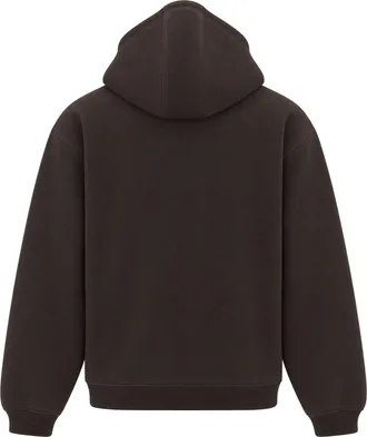 Carhartt Work in Progress Ebbert Hoodie - Brown