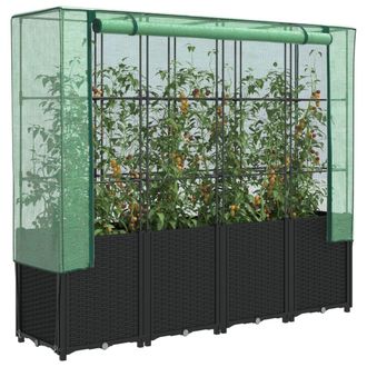 Berkfield Home Raised Bed with Greenhouse Cover Rattan Look 160x40x153 cm in Black | Size: 160 x 40 x 153 cm