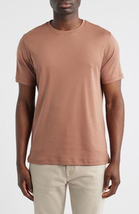 Robert Barakett Georgia Pima Cotton T-Shirt in Spice at Nordstrom, Size X-Large