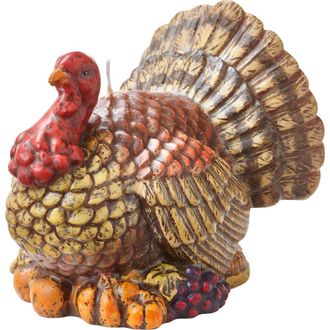Tag Tucker Turkey Candle - Thanksgiving Decor Multicolor Wax in Brown at Nordstrom