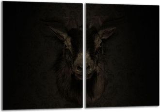 OEM Placa Protectora De Vidrio Para La Estufa 2x40x52 Koza