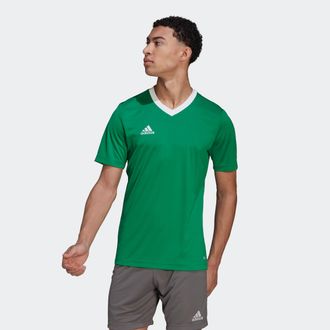 adidas Fussballtrikot ADIDAS PERFORMANCE ENT22 JSY, Herren, Gr. XXL, gr&uuml;n (team gr&uuml;n, wei&szlig;), Obermaterial: 100% Polyester, bestickt, V-Ausschnitt, Trikots Fu