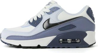 Nike (WMNS) Nike Air Max 90 Ashen Slate HM8128-100