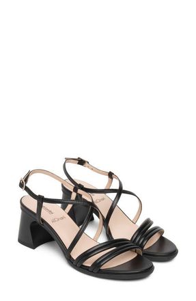 Nero Giardini Strappy Flared Heel Sandal in Black at Nordstrom, Size 11Us