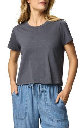 Splendid Louisa Short Sleeve T-Shirt in Ink Blue at Nordstrom, Size Large