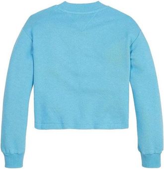 Tommy Hilfiger Sweater - Blue
