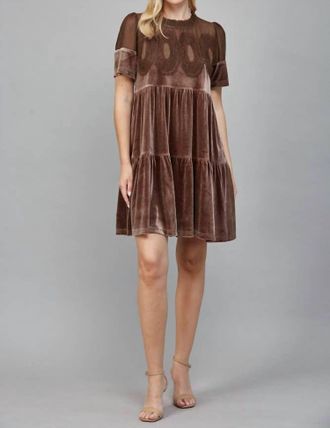 Fate Contrast Sheer Mesh Intricate Lace Detail Mini Dress In Choco Brown