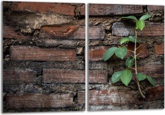 OEM Placa Protectora De Vidrio Para Estufa 2x40x52 Ladrillo