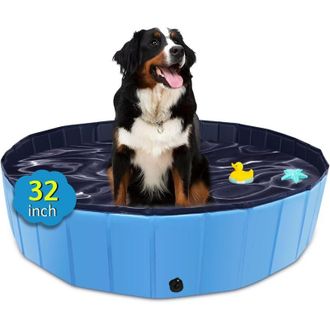 OEM Piscina Plegable Port&aacute;til Grande De Pl&aacute;stico Duro Para Perros, Gatos, Ni&ntilde;os, Mascotas Y Cachorros - 80 X 20 Cm - Azul