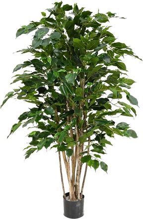 Baq Lebensechte Kunstpflanze Ficus Benjamina Exotica, ø 70/ Höhe 120 cm