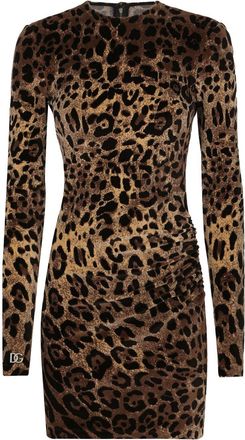 Dolce & Gabbana logo-plaque leopard-print dress - women - Cotton/Nylon - 38 - Brown