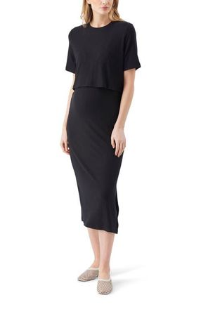 Ripe Ivy Rib Nursing Dress Black at Nordstrom, Size Xx-Large Au