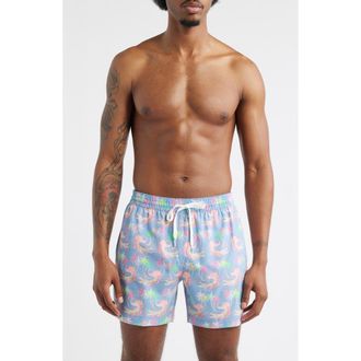 Chubbies Rock-a-Crocks Lined 5.5-Inch Swim Trunks in Dusty Blue at Nordstrom, Size Xx-Large