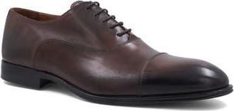 Bruno Magli Sergio Cap Toe Oxford in Brown at Nordstrom Rack, Size 7.5