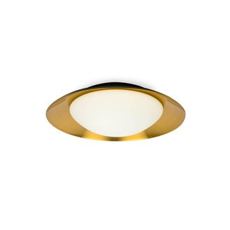 Netlighting Side LED Indoor Medium Flush Wall Light Black Copper