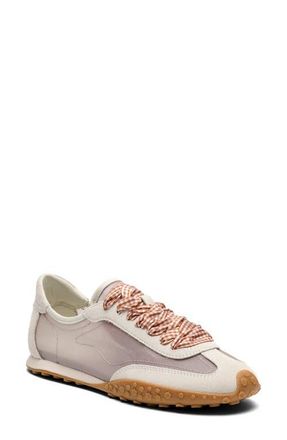 Hoff Bridge Mesh Sneaker in White Multi at Nordstrom, Size 6.5Us