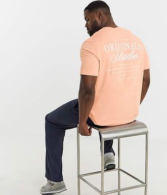 Jack & Jones Jack & Jones Norrebro Back Print Tee