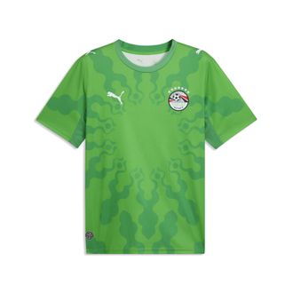 Puma Maglia da portiere PUMA x EGITTO x SALEHE BEMBURY da uomo, Accessori, Verde, 3XL