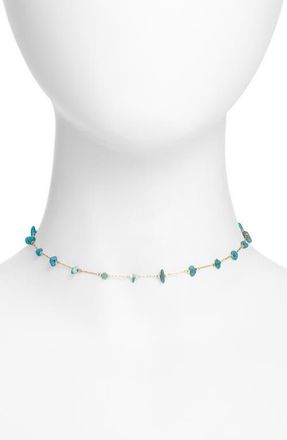 Vidakush Turquoise Stone Choker in Gold at Nordstrom, Size 14