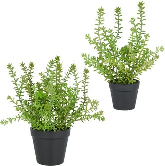 Creativ Green Kunstpflanze