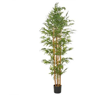 Beliani Planta Artificial En Maceta Para Interior Decoraci&oacute;n De Pl&aacute;stico 220 Cm Con Maceta Negra Bamboo