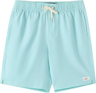 O'Neill Boys Lennox Hermosa Solid 16 Board Shorts Blue XL