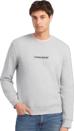 Guess Uomo, Felpe, Grigio, M, new