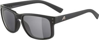 Alpina Kosmic S3 Sonnenbrille - Unisex | grau