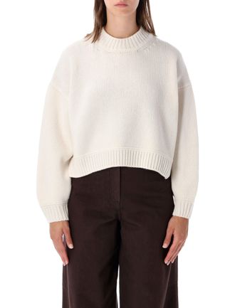 Sessun Spero Chunky Knit Cropped Crewneck Sweater