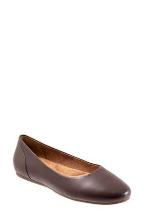 Softwalk Shiraz Flat in Dark Brown at Nordstrom Rack, Size 10.5