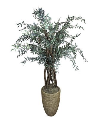Creative Displays Inc. 6.5Ft Italian Ruscus Tree