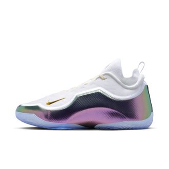 Nike Mens LeBron XXIII Elite For the Record Basketball Shoes in White | IB9557-100