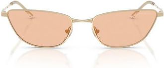 Emporio Armani 55mm Cat Eye Sunglasses in Shiny Pale Gold /Brown at Nordstrom